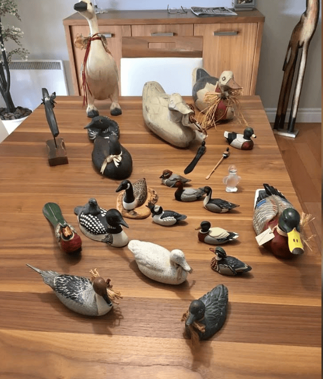 canards bois